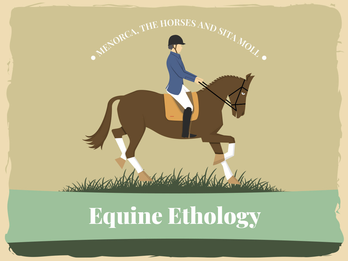 Ilustración con jinete y caballo con texto "Equine Ethology".