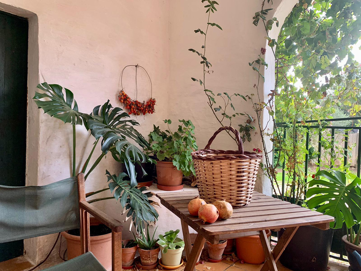 Balcón con plantas, mesa y silla de madera.