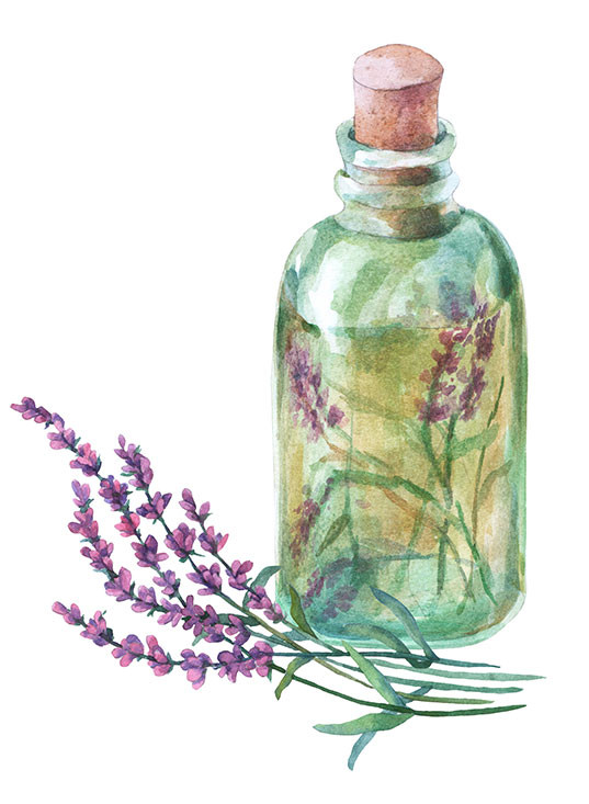  The Benefits of Essential Oils  